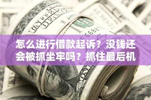 北京怎么进行借款起诉？没钱还会被抓坐牢吗？抓住最后机会！