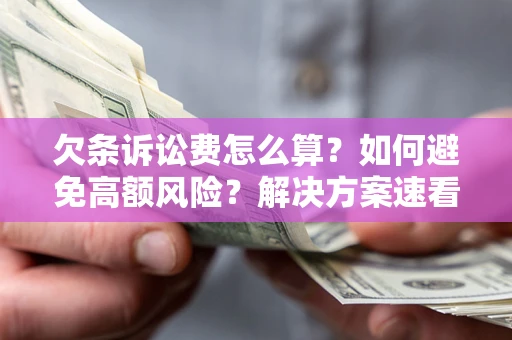 北京欠条诉讼费怎么算？如何避免高额风险？解决方案速看！