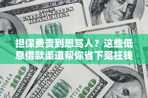北京担保费贵到想骂人？这些低息借款渠道帮你省下冤枉钱