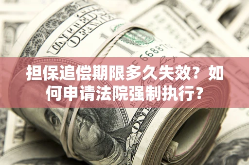 北京担保追偿期限多久失效？如何申请法院强制执行？
