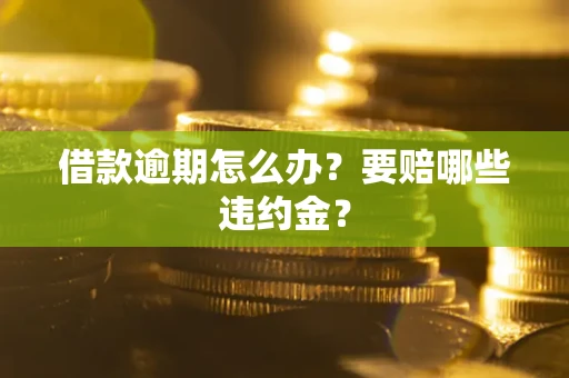 北京借款逾期怎么办？要赔哪些违约金？